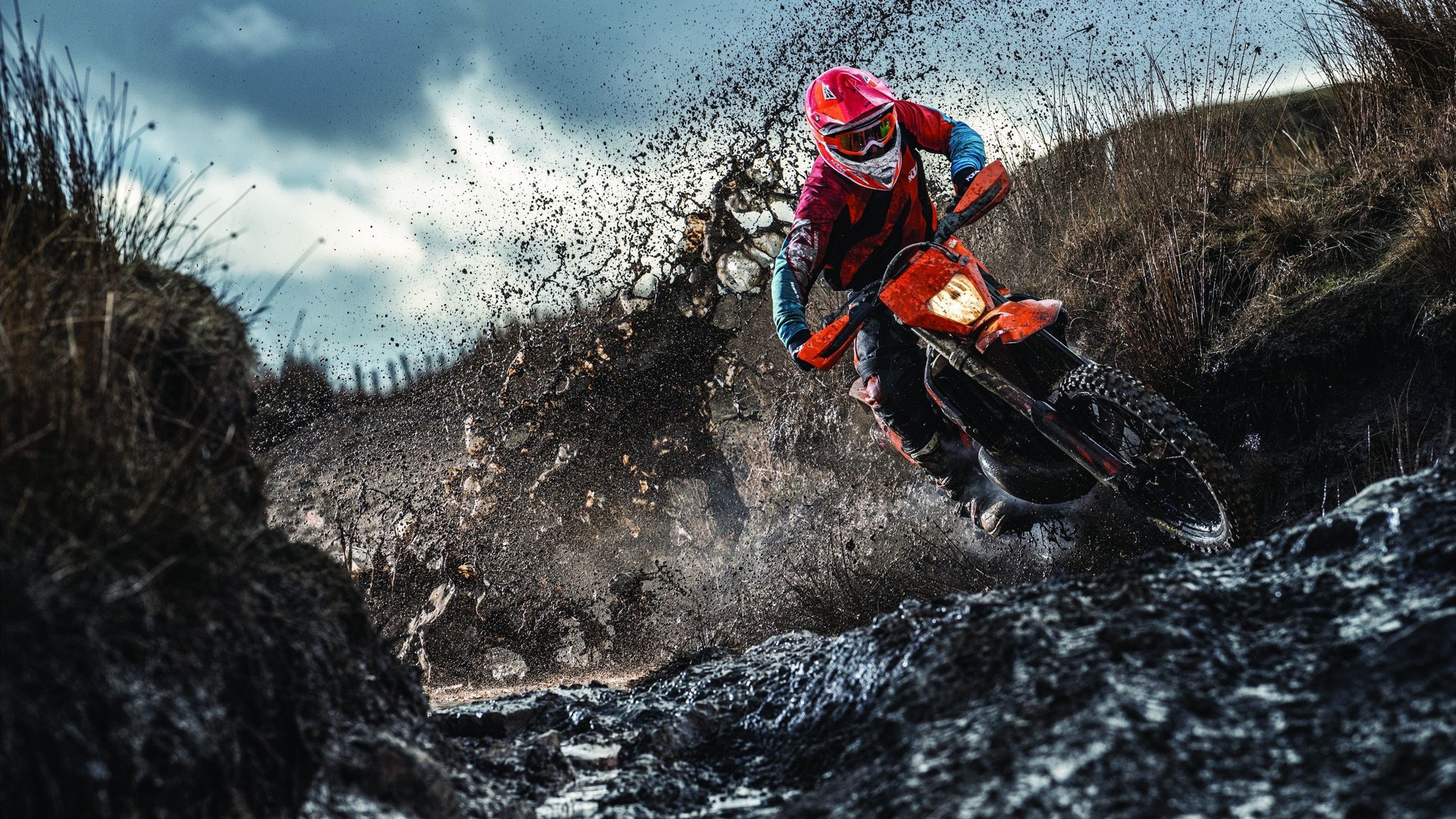 德约科维奇连续三场得分爆发！德国队迎来极限考验，全民热议无人可挡